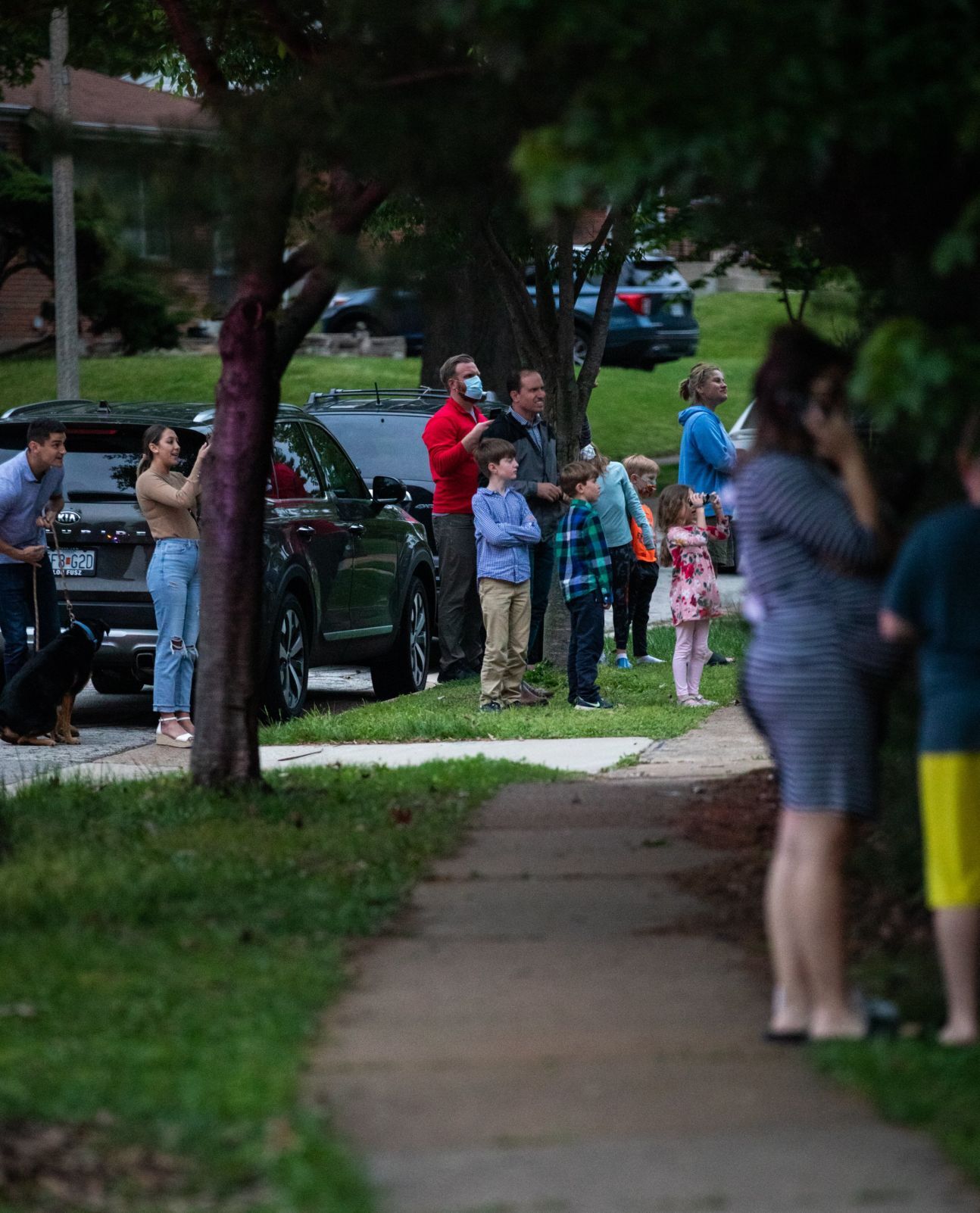 Black bear removed from Richmond Heights neighborhood